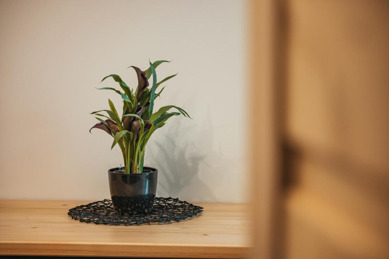Wierchowe Apartamenty Leśnica Exteriör bild